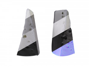 Cheese 1 Mixed 3D 模型