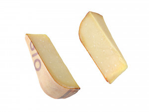Cheese 1 Mixed 3D 模型