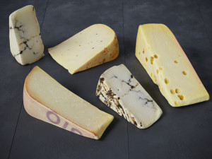 Cheese 1 Mixed 3D 模型