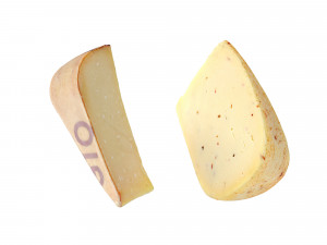 Cheese 1 Mixed 3D 模型