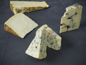 Cheese 1 Mixed 3D 模型