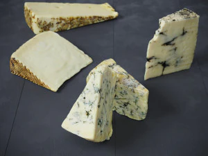 Fromage 1 Mixte Modèle 3D