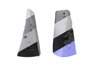 奶酪卷 2 3D 模型