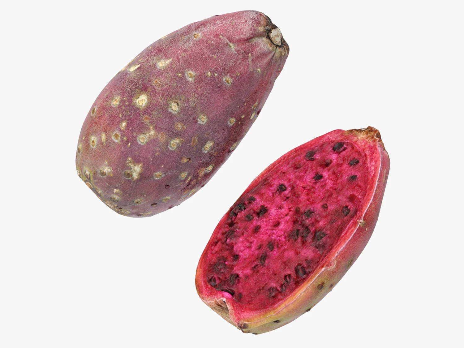 Prickly Pear - Cactus Fruit 3D Model .c4d .max .obj .3ds .fbx .stl .blend