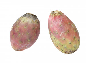Prickly Pear - Cactus Fruit Model 3D