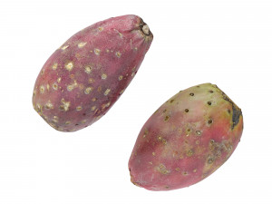 Prickly Pear - Cactus Fruit Model 3D