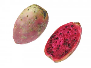 Prickly Pear - Cactus Fruit 3D Model