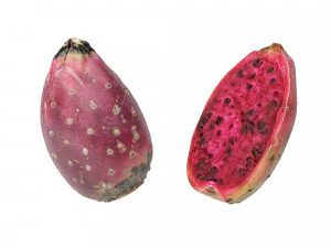 Prickly Pear - Cactus Fruit 3D Model