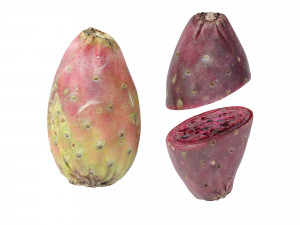 Prickly Pear - Cactus Fruit Model 3D