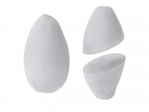 Prickly Pear - Cactus Fruit Model 3D