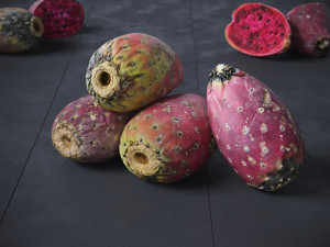 Prickly Pear - Cactus Fruit Model 3D