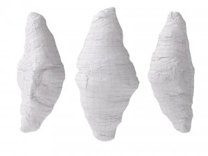 Mini butter croissants 3D Model