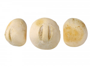 Crusty Breadrolls 3D 模型