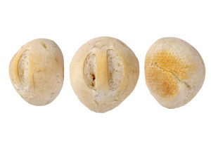 Crusty Breadrolls 3D 模型
