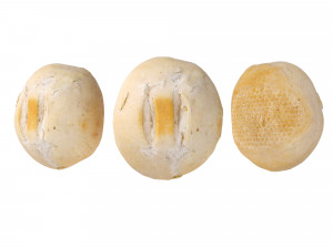 Crusty Breadrolls 3D 模型