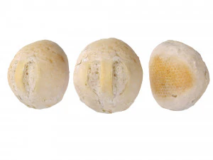 Crusty Breadrolls 3D Model