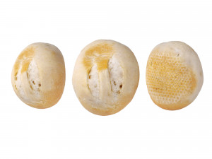 Crusty Breadrolls 3D 模型