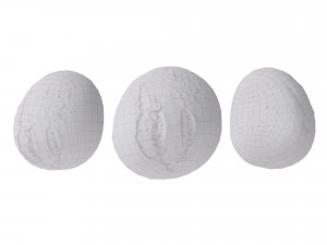 Crusty Breadrolls 3D 模型