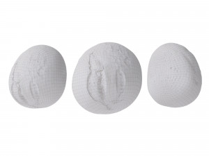 Crusty Breadrolls 3D 模型