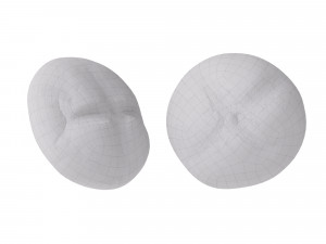 Sourdough Bread Round 3D मॉडल