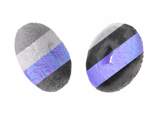Sesame Bagels 3D Model