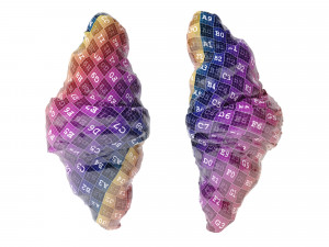Croissant With Chocolate Chips Modèle 3D