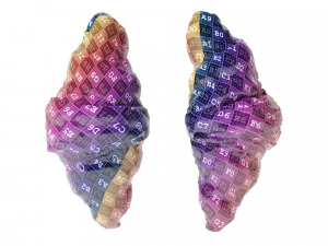 Croissant With Chocolate Chips 3D Model