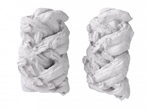 Maple pecan plait Modello 3D