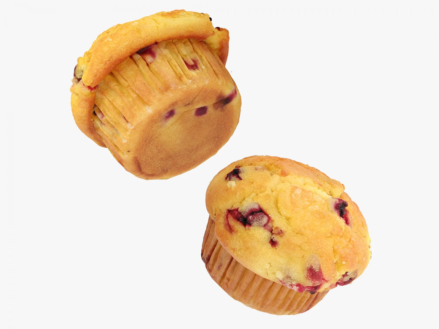 Blueberry Muffins 3D Model .c4d .max .obj .3ds .fbx .stl .blend 