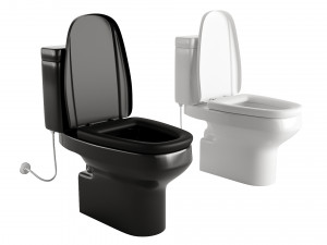 Two toilets in different colors 3D Model