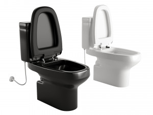 Two toilets in different colors 3Dモデル
