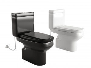 Two toilets in different colors 3Dモデル