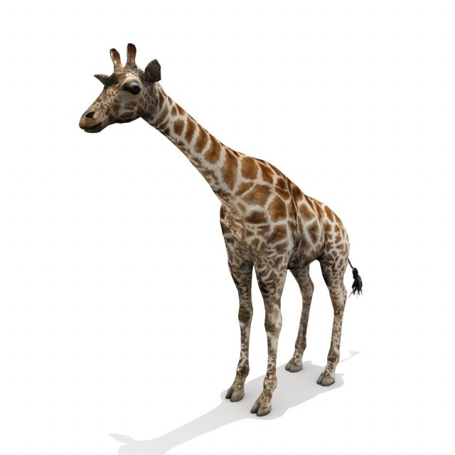 Animals Fantasy Giraffe 3D Model .c4d .max .obj .3ds .fbx .stl .blend 