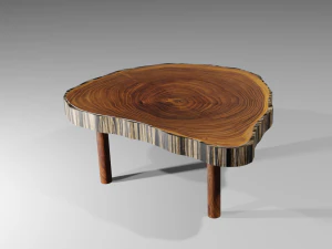 Table 3D Model