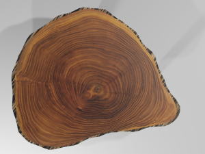 Table 3D Модель