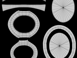 Twin Peaks Ring 3D 모델