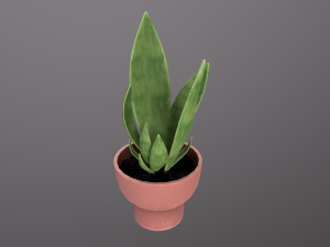 Flower Pot 3D Model