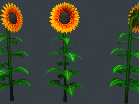 Stylized Flowers 8-9 3D Model