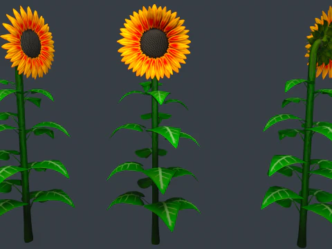 Stylized Flowers 8-9 3D Model