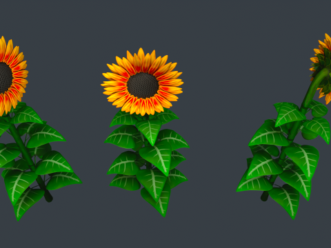 Stylized Flowers 8-9 3D Model