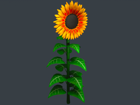 Stylized Flowers 8-9 3D Model