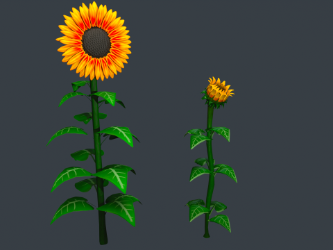 Stylized Flowers 8-9 3D Model