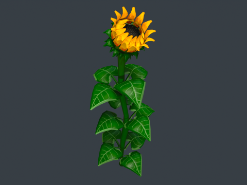 Stylized Flowers 8-9 3D Model