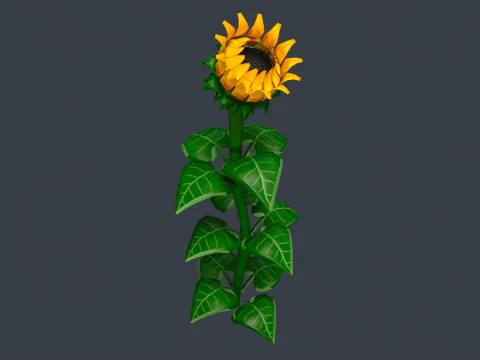 Stylized Flowers 8-9 3D Model