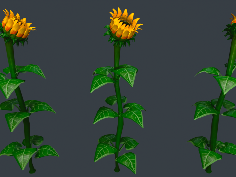 Stylized Flowers 8-9 3D Model