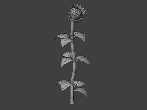 Stylized Flowers 8-9 3D Model