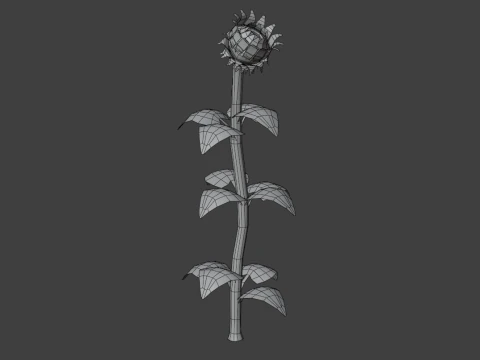 Stylized Flowers 8-9 3D Model