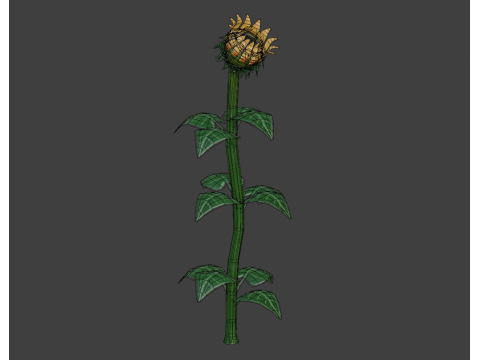 Stylized Flowers 8-9 3D Model