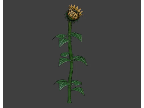 Stylized Flowers 8-9 3D Model
