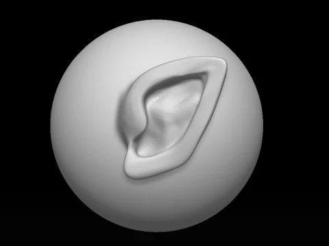 Stylized Ear Brush Part2 3D Model